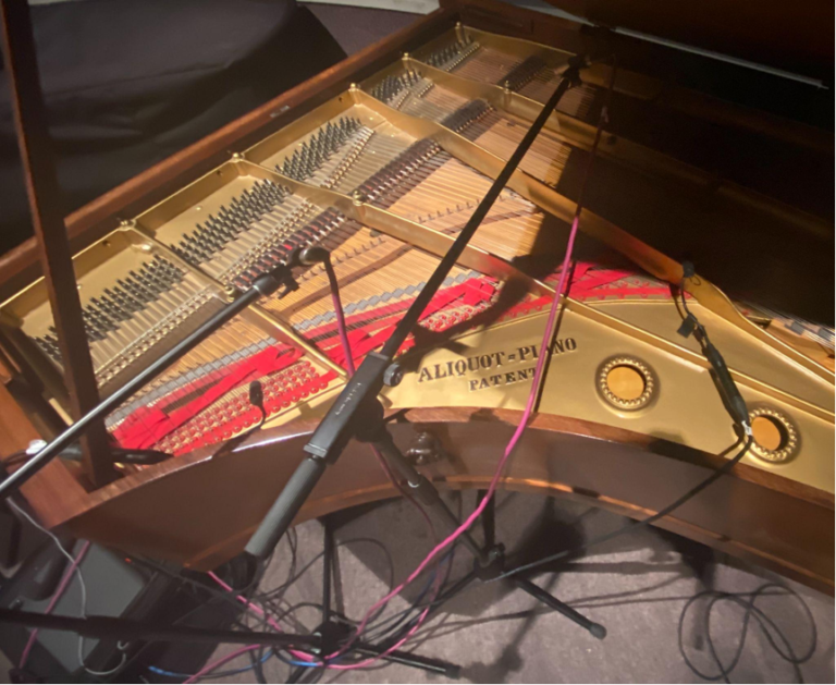 Bluthner for recording
